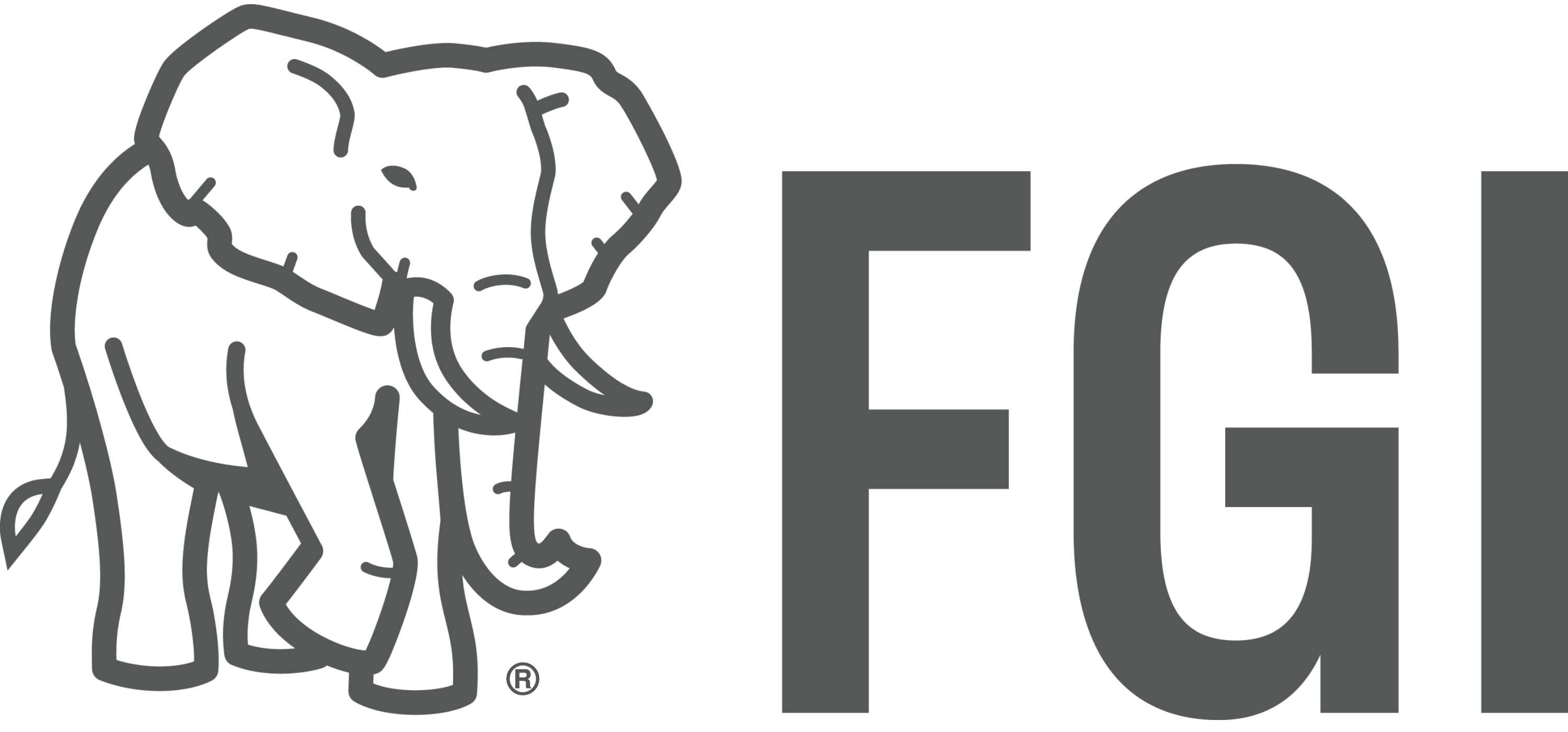 FGI Logo