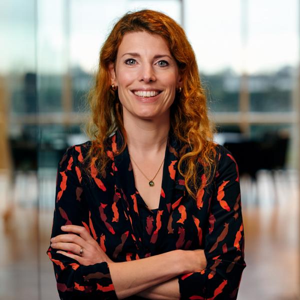 schaufeli, mauricette