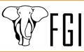 FGI logo FGI logo